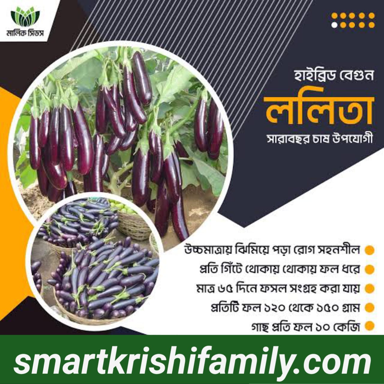 বিশ্বস্ত কোম্পানির (এ আর মালিক, লাল তীর প্রভৃতি) 17 জাতের সবজি বীজ প্যাকেজ