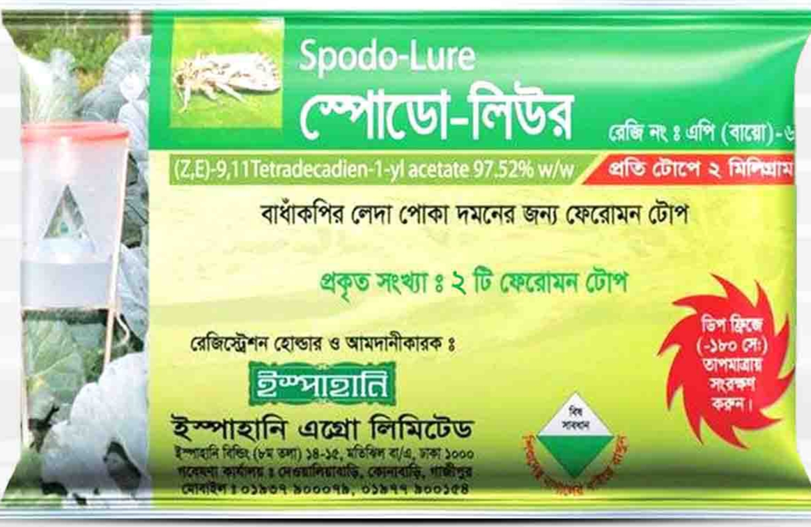 Spodo-Lure (স্পোডো-লিউর) Pheromone Trap